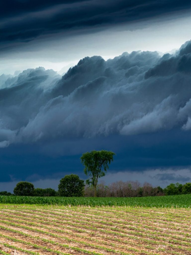 Meteo del Giorno 24 settembre 2025: piogge al Nord, sole al Sud – Oiusho Nuvole temporalesche minacciose sopra i campi in Italia, previsioni meteo del giorno
