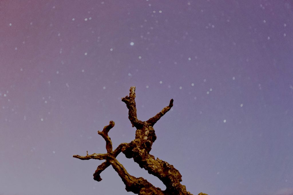Carte dei tarocchi e candela per rappresentare le previsioni astrologiche dell’oroscopo del giorno 8 ottobre 2025