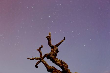 Oroscopo del giorno 8 ottobre 2025 – Previsioni per tutti i segni | Oiusho Carte dei tarocchi e candela per rappresentare le previsioni astrologiche dell’oroscopo del giorno 8 ottobre 2025