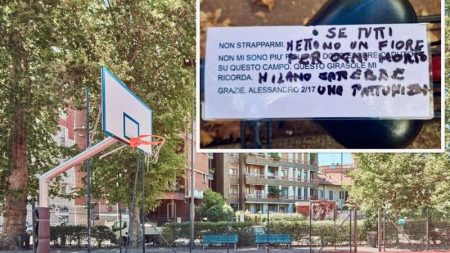 Milano, mamma lascia un girasole per il figlio morto e trova un biglietto offensivo: il quartiere reagisce Girasole lasciato dalla mamma in ricordo del figlio morto nel campetto di Milano