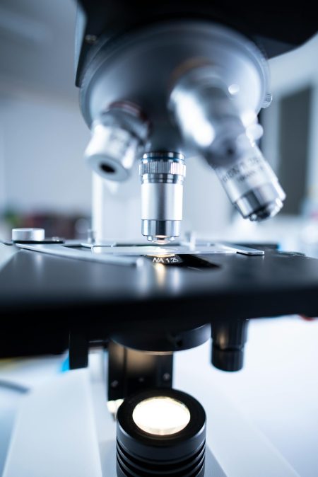 La startup che trasforma paludi in abiti: il materiale che cambierà la moda per sempre startup che trasforma zone umide in materiale per moda sostenibile