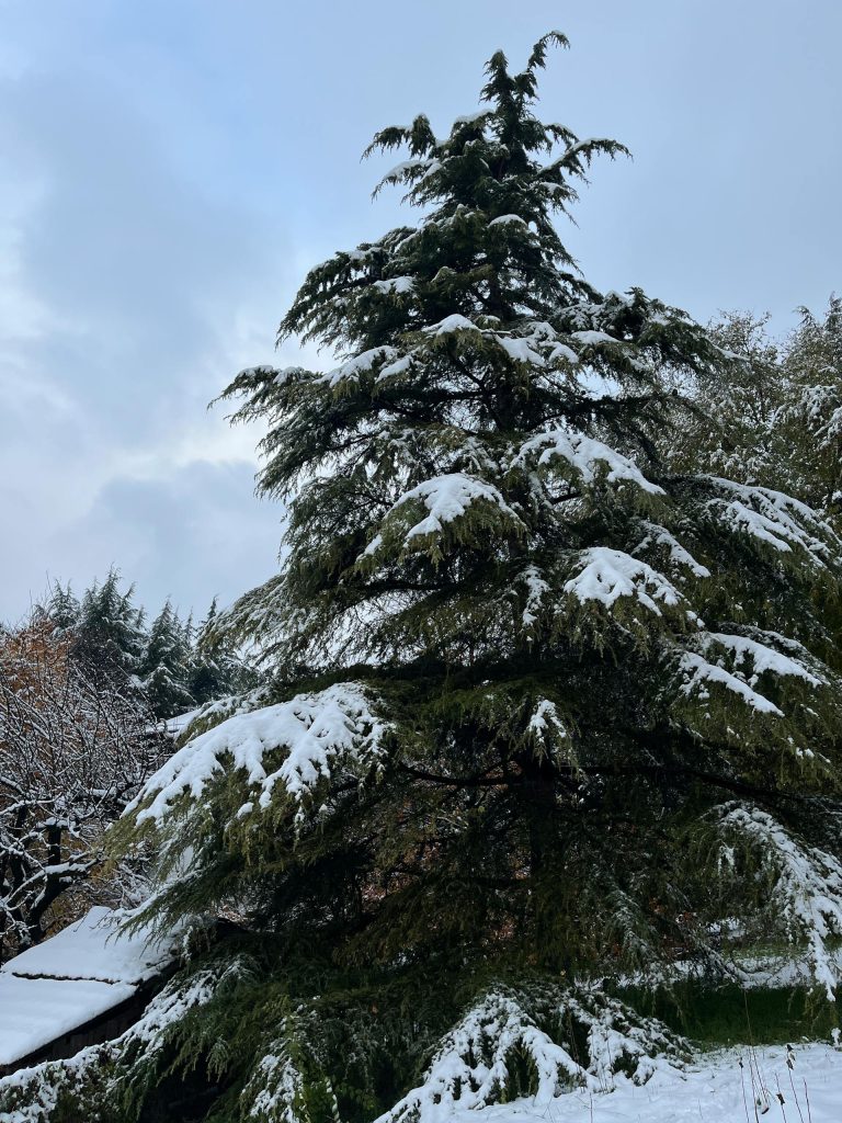 Meteo Italia 26 novembre: piogge, vento e calo termico da Nord a Sud Previsioni meteo Italia 26 novembre con piogge e vento