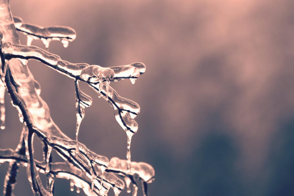 Meteo Italia 23 novembre: piogge, vento forte e neve sulle Alpi. Ecco le regioni più colpite Mappa meteo Italia 23 novembre