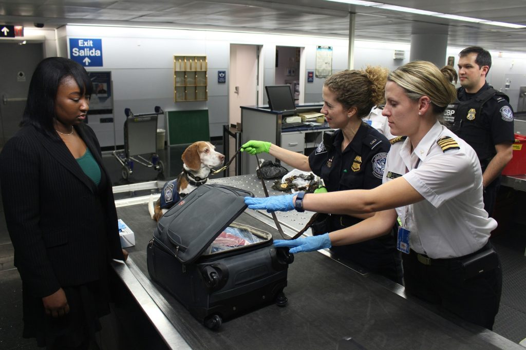 controllo social obbligatorio per turisti usa