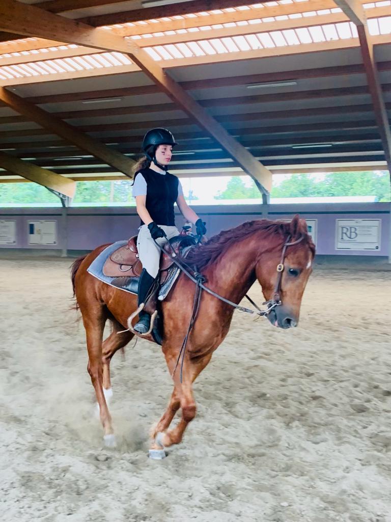 Arianna Giaroli muore a 13 anni dopo un calcio di cavallo: sette vite salvate Arianna Giaroli, 13 anni, morta dopo un calcio di cavallo durante una lezione di equitazione
