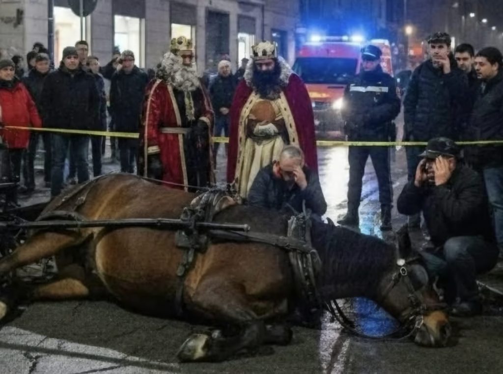 Cavallo morto a Nocera Inferiore durante la Cavalcata dei Re Magi