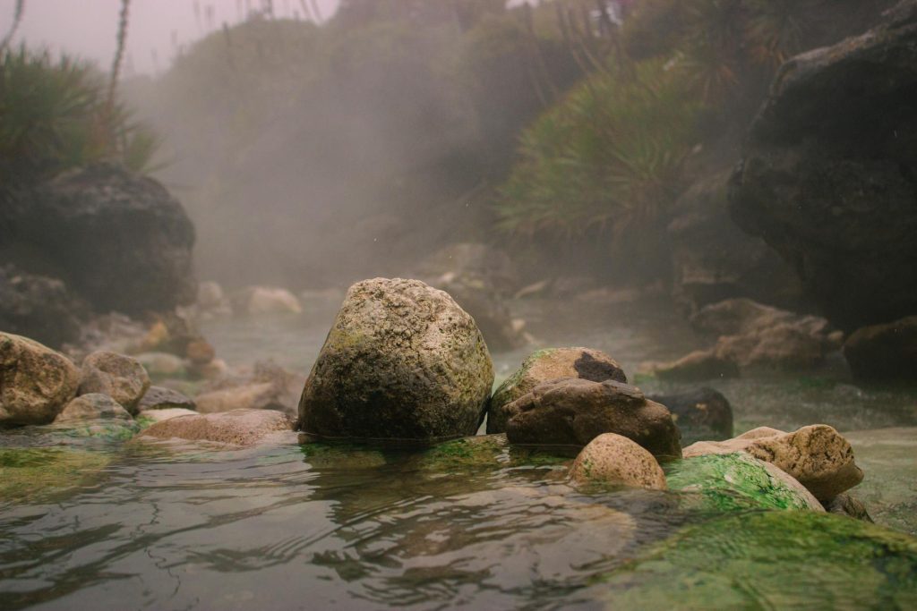 Ambiente, la sfida decisiva del nostro tempo: perché il futuro del pianeta dipende da noi Tutela dell’ambiente e futuro sostenibile del pianeta