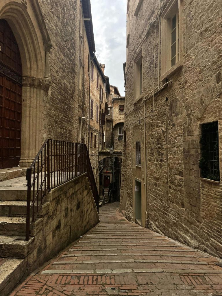 Orsetto rubato a Perugia davanti a un negozio chiuso per tristezza