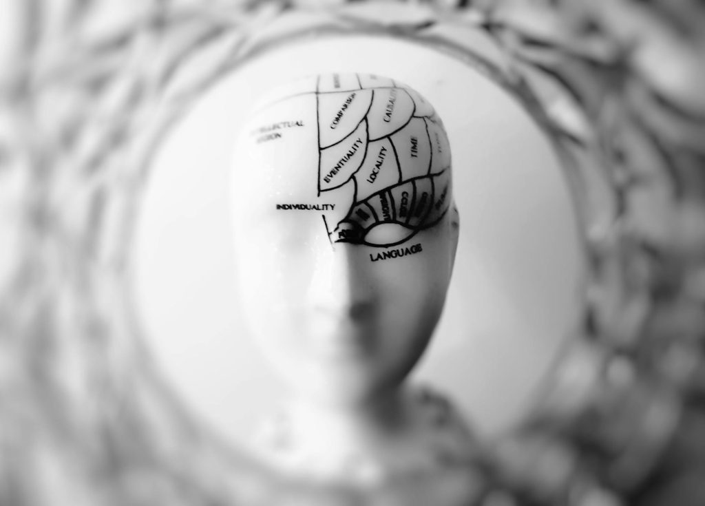 Memoria umana e falsi ricordi nel cervello