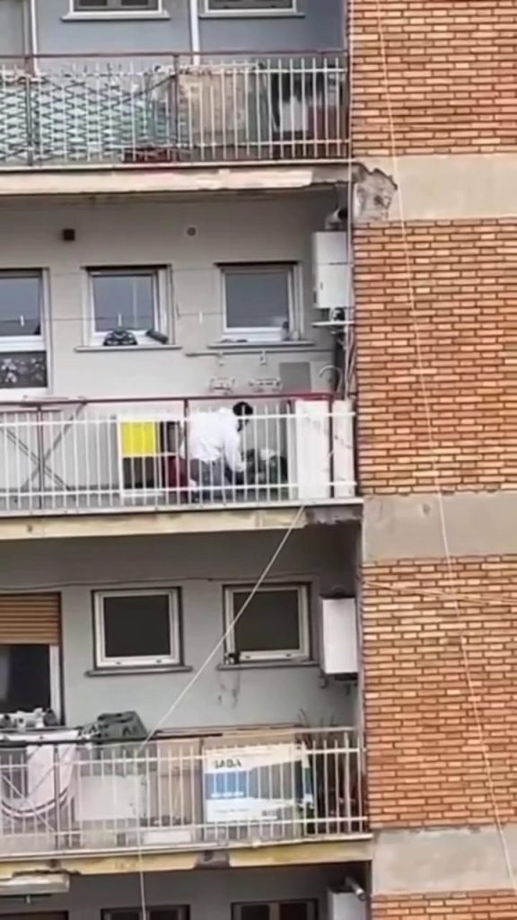cane lasciato sul balcone caso maltrattamento animalisti