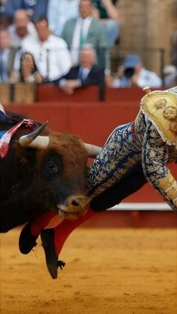 Torero incornato a Siviglia, ferita di 10 cm e retto perforato: è in condizioni gravissime Torero incornato a Siviglia con ferita di 10 cm durante la corrida