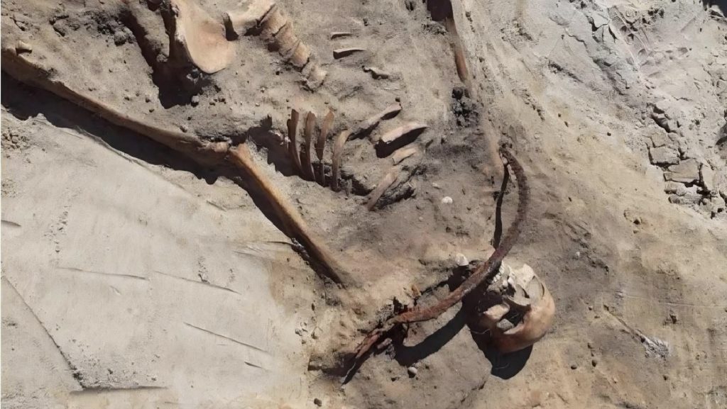tombe dei vampiri sepolture archeologiche con falce e pietra in bocca