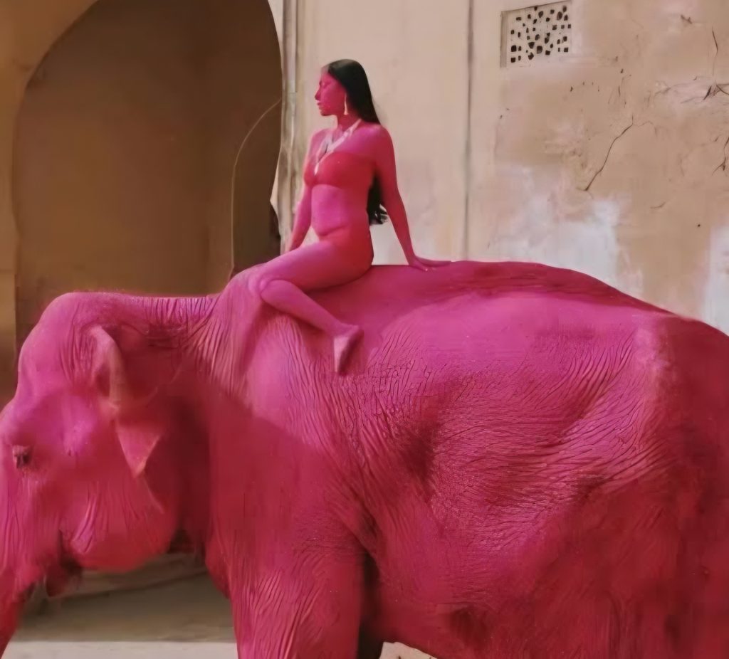 Elefantessa dipinta di rosa durante uno shooting fotografico in India