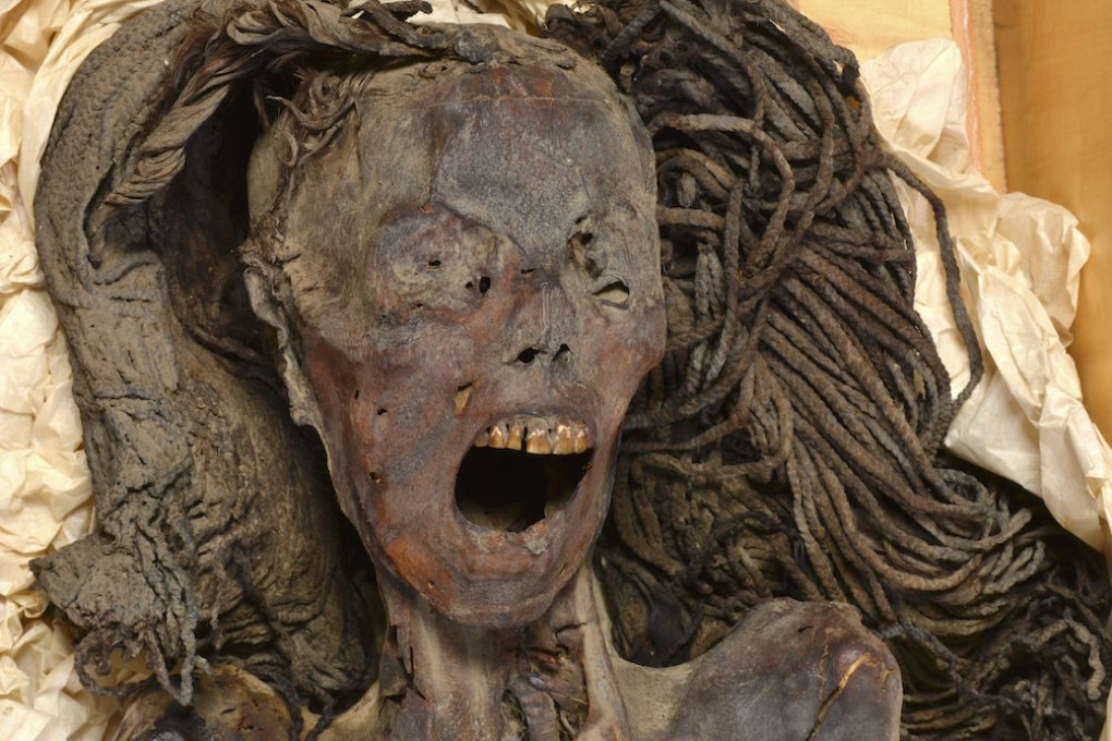 Mummia con la bocca aperta da 2.500 anni: scoperta la verità, è morta nel dolore Mummia con espressione di urlo scoperta nell’antico Egitto