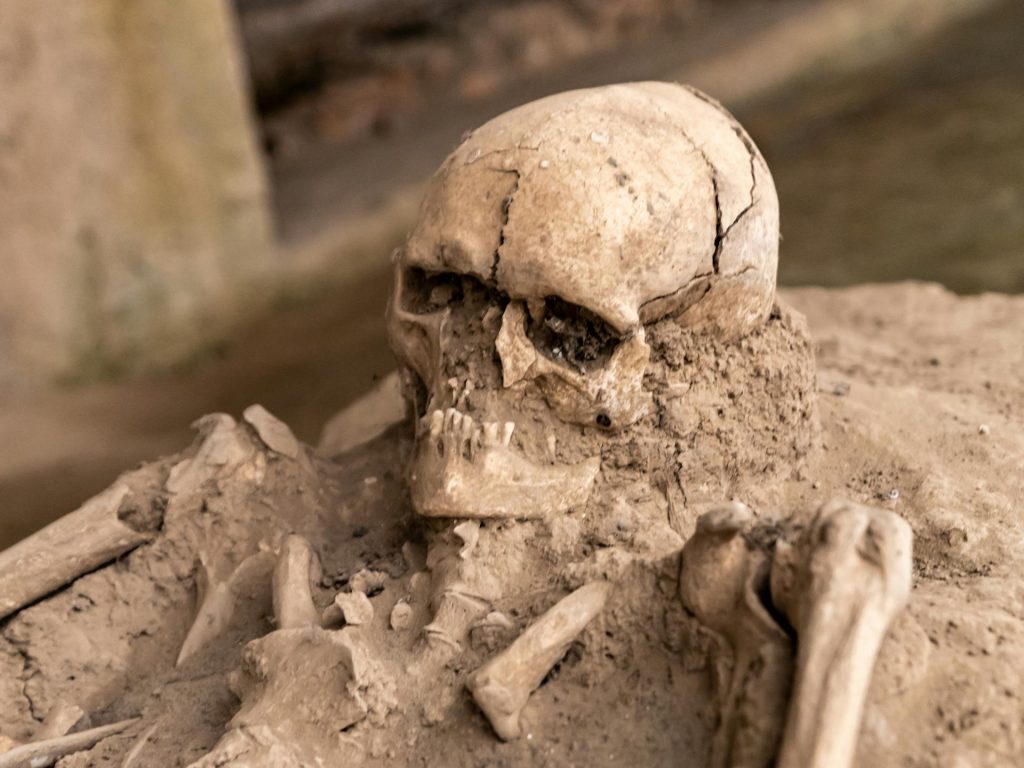 Civiltà scomparse misteriosamente: i casi reali che la scienza non spiega civilta-scomparse-misteriosamente.jpg