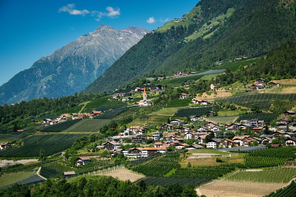 Valtellina Terra d’Emozioni: 20 esperienze tra gusto e natura fino al 17 maggio Valtellina Terra d Emozioni esperienze tra natura e gusto in montagna
