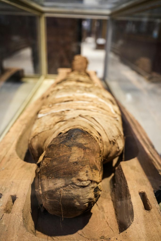 Mummie di palude: corpi intatti da 2000 anni e il mistero dei sacrifici rituali mummia di palude volto conservato realistico
