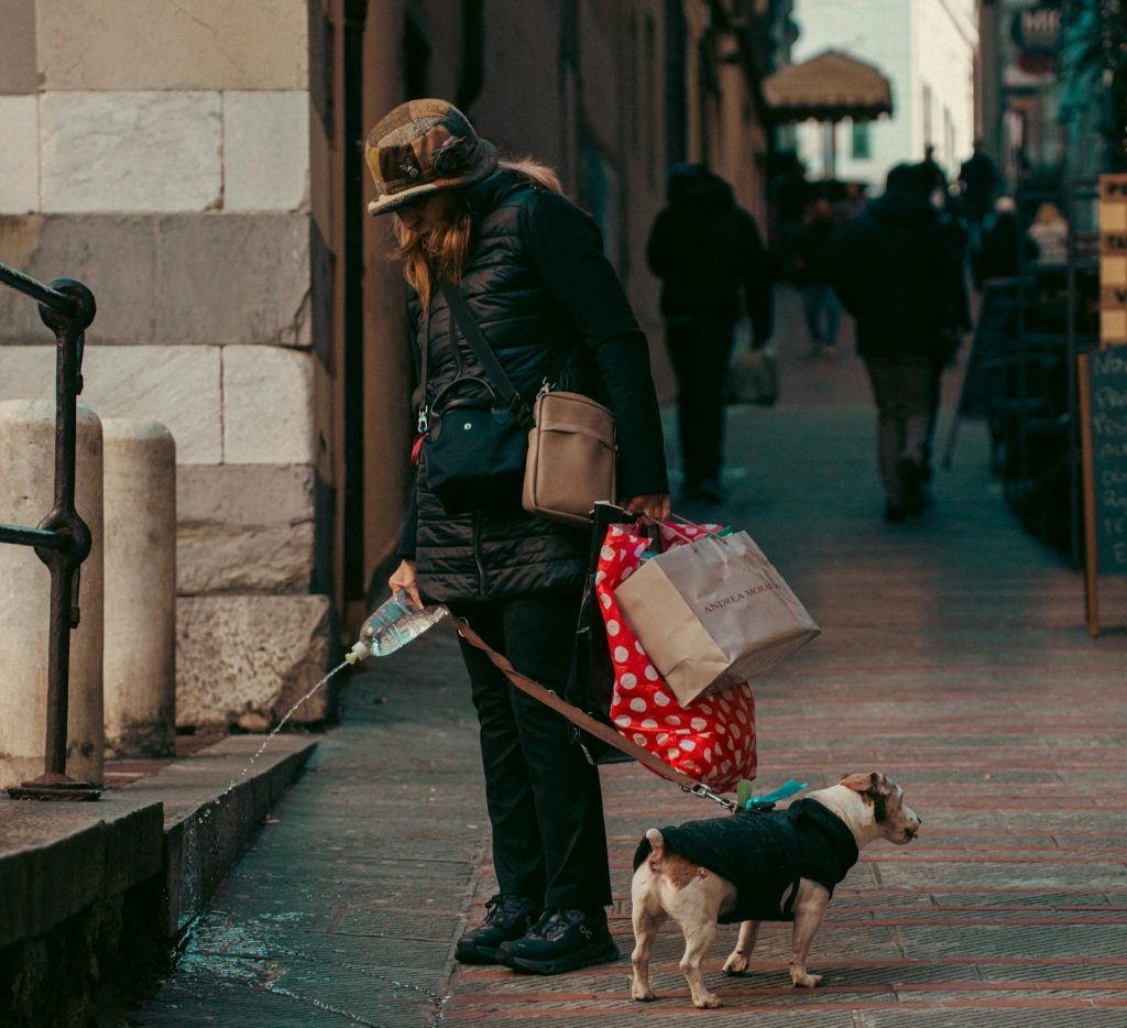 cane guinzaglio livorno ordinanza pipi multa strada