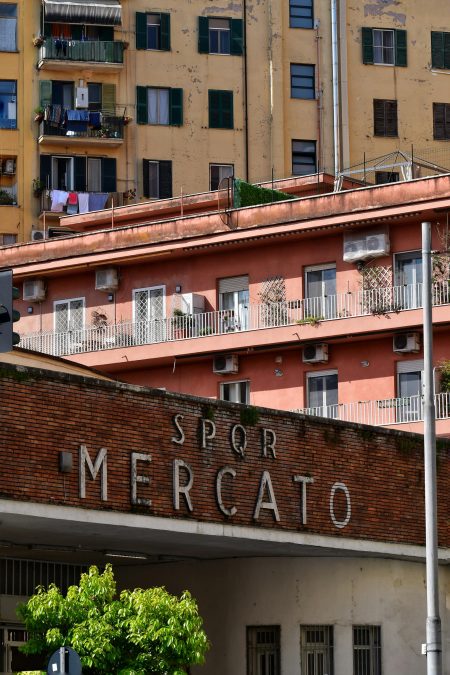Gabbiano al Mercato Trionfale di Roma vicino a una macelleria