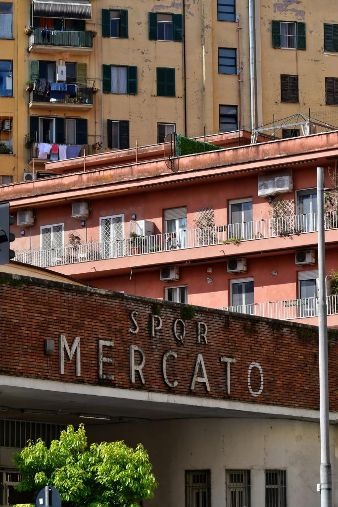 Shock al Mercato Trionfale di Roma, gabbiano preso a bastonate vicino alla macelleria: scatta la denuncia Gabbiano al Mercato Trionfale di Roma vicino a una macelleria