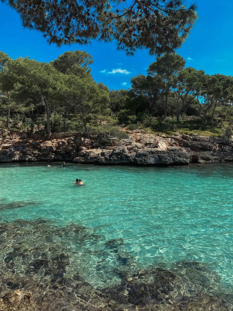 Palma di Maiorca con la Cattedrale La Seu affacciata sul mare e sulla baia
