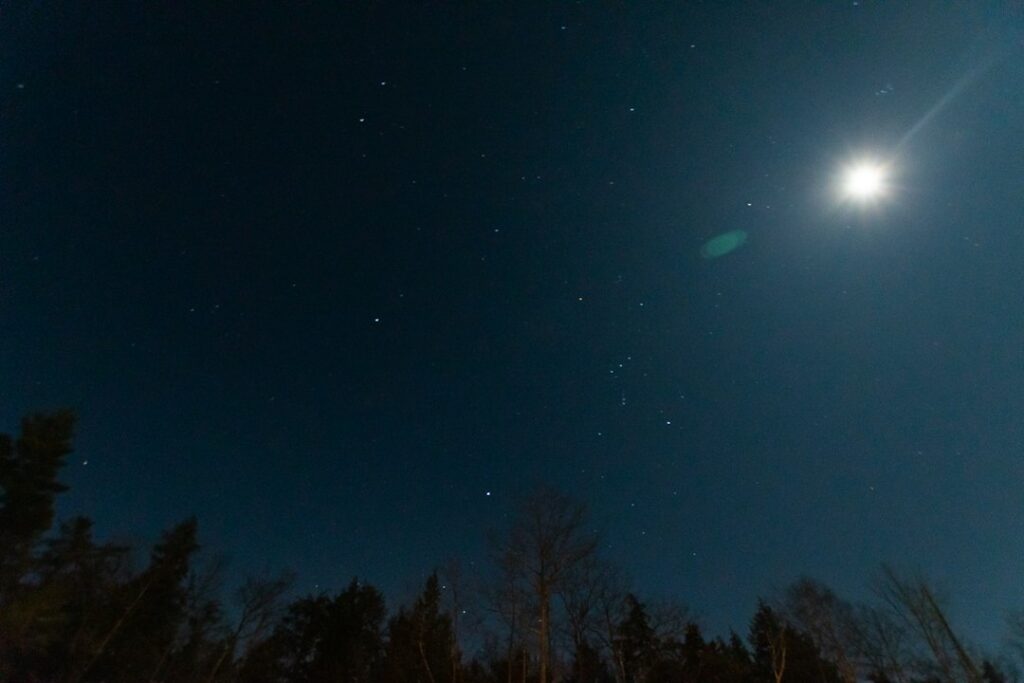 Oroscopo di oggi 29 settembre 2026, cielo stellato e costellazioni